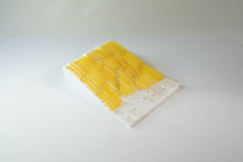 DSCF3609
