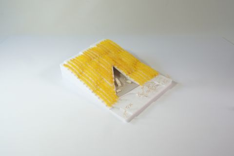 DSCF3629