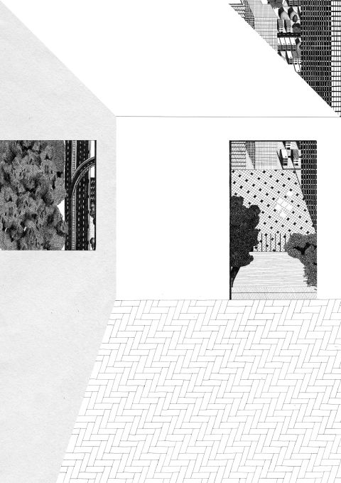 Image 5 finale