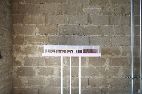 DSCF9959