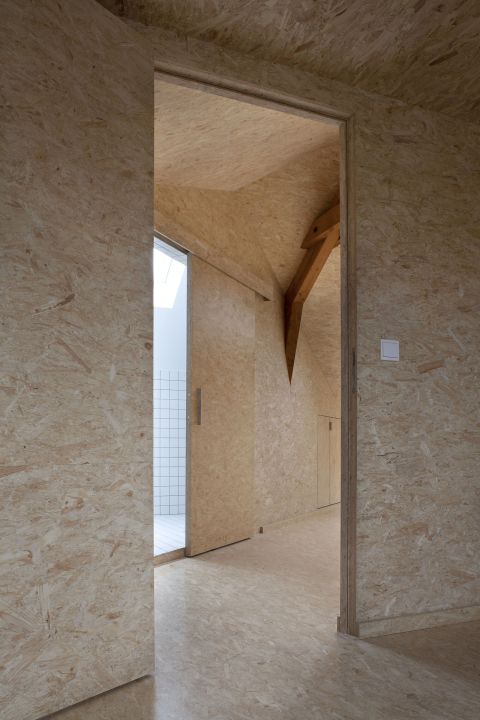 Osb33